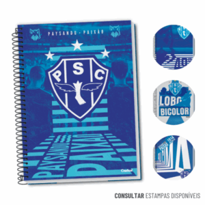 Caderno Universitário 12 Matérias Capa Dura Paysandu 192 Folhas Credeal
