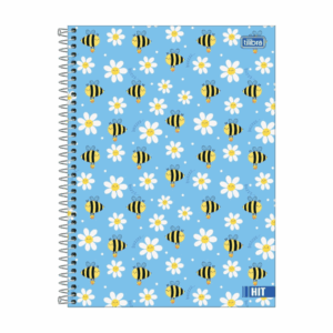 Caderno Universitário 16 Matérias Capa Dura Hit Feminino 256 Folhas