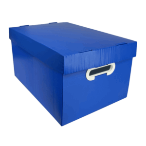 Caixa Organizadora Polionda Dello Azul